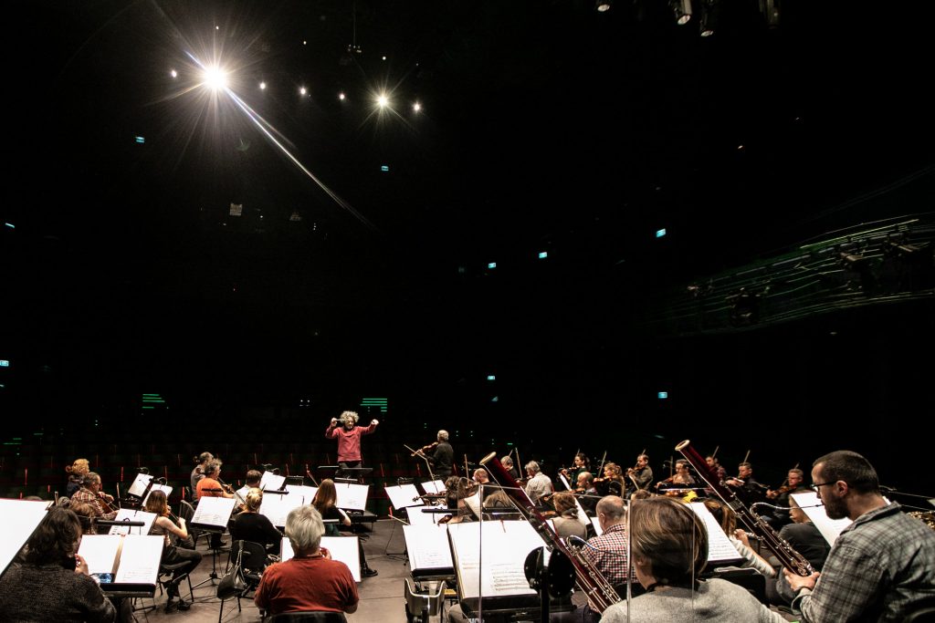 Zdjęcie zrobione z tyłu sceny. Przed pulpitami siedzi orkiestra. Na końcu po prawej stronie stoi solista. Po lewej stoi dyrygent.